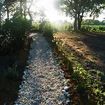 Bed & Breakfast Mera Luxe Wellness B&b, Ibiza-bohemian Style Suites, Adults Only, Optioneel Prive Outdoor Wellness, Massage, Vuurkorf, Gratis Fles Wijn Of Bubbels 3*