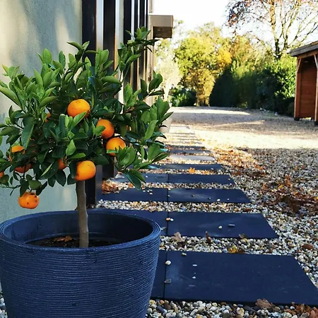 Mera Luxe Wellness B&b, Adults Only, Ibiza-bohemian Style Suites, Optional Prive Outdoor Wellness, Massage, Vuurkorf, Gratis Fles Fles Wijn-bubbels Bed & Breakfast