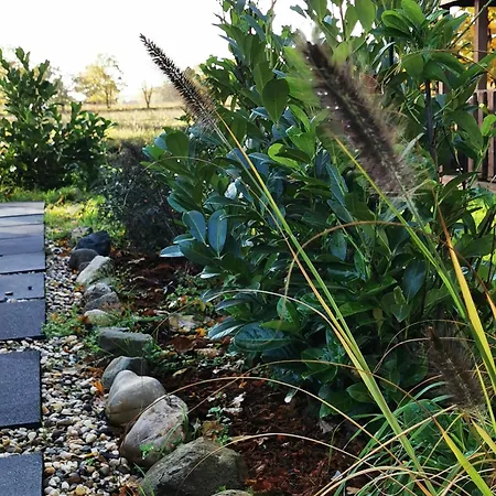 Mera Luxe Wellness B&b, Adults Only, Ibiza-bohemian Style Suites, Optional Prive Outdoor Wellness, Massage, Vuurkorf, Gratis Fles Fles Wijn-bubbels America