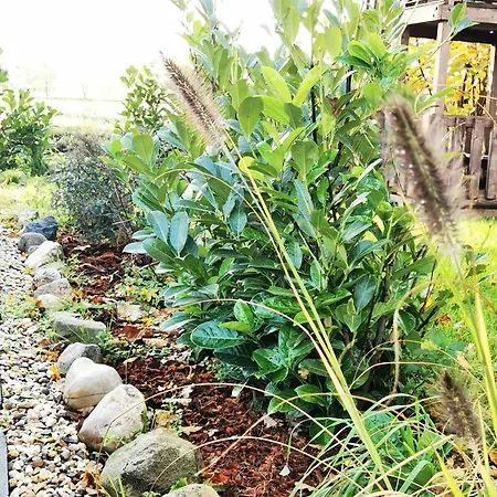 Mera Luxe Wellness B&b, Adults Only, Ibiza-bohemian Style Suites, Optional Prive Outdoor Wellness, Massage, Vuurkorf, Gratis Fles Fles Wijn-bubbels