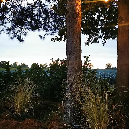 Mera Luxe Wellness B&b, Adults Only, Ibiza-bohemian Style Suites, Prive Outdoor Wellness, Massage, Vuurkorf, Gratis Wijn-bubbels 住宿加早餐酒店