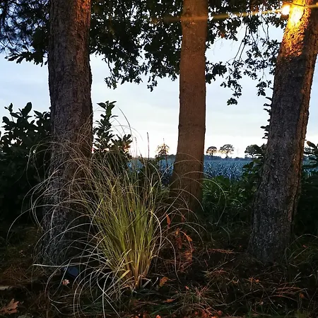 Mera Luxe Wellness B&b, Adults Only, Ibiza-bohemian Style Suites, Optional Prive Outdoor Wellness, Massage, Vuurkorf, Gratis Fles Fles Wijn-bubbels Bed & Breakfast 3*