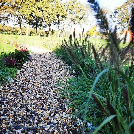 Mera Luxe Wellness B&b, Adults Only, Ibiza-bohemian Style Suites, Prive Outdoor Wellness, Massage, Vuurkorf, Gratis Wijn-bubbels 3* 阿梅里卡