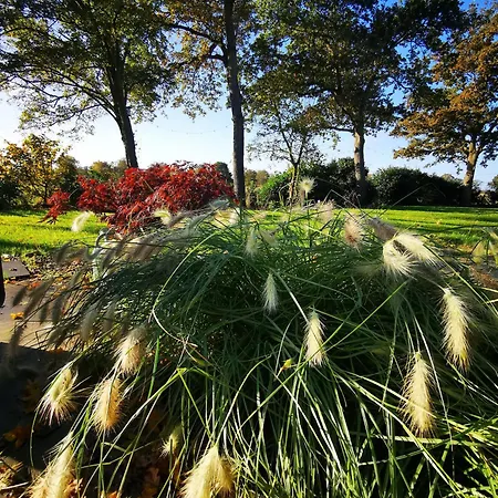 Bed & Breakfast Mera Luxe Wellness B&b, Adults Only, Ibiza-bohemian Style Suites, Optional Prive Outdoor Wellness, Massage, Vuurkorf, Gratis Fles Fles Wijn-bubbels America