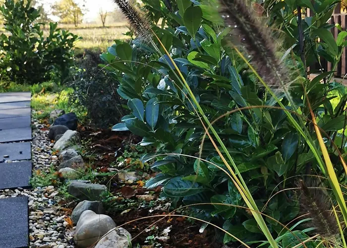 Mera Luxe Wellness B&b, Adults Only, Ibiza-bohemian Style Suites, Optional Prive Outdoor Wellness, Massage, Vuurkorf, Gratis Fles Fles Wijn-bubbels America