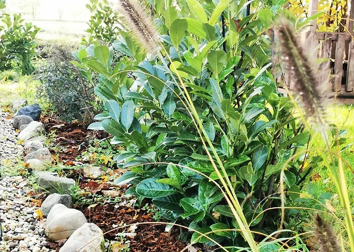 Mera Luxe Wellness B&b, Adults Only, Ibiza-bohemian Style Suites, Optional Prive Outdoor Wellness, Massage, Vuurkorf, Gratis Fles Fles Wijn-bubbels