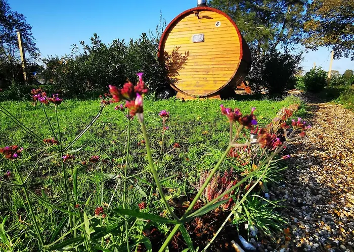 Bed and breakfast Mera Luxe Wellness B&b, Adults Only, Ibiza-bohemian Style Suites, Optional Prive Outdoor Wellness, Massage, Vuurkorf, Gratis Fles Fles Wijn-bubbels America