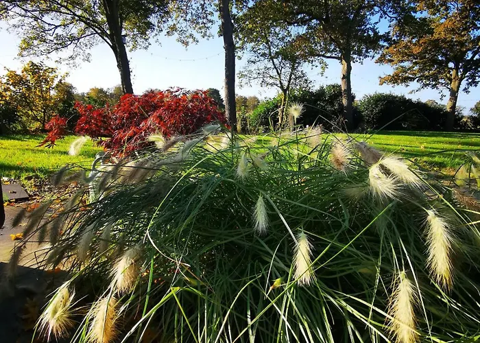 住宿加早餐酒店 Mera Luxe Wellness B&b, Adults Only, Ibiza-bohemian Style Suites, Optional Prive Outdoor Wellness, Massage, Vuurkorf, Gratis Fles Fles Wijn-bubbels 阿梅里卡