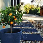 Mera Luxe Wellness B&b, Adults Only, Ibiza-bohemian Style Suites, Optional Prive Outdoor Wellness, Massage, Vuurkorf, Gratis Fles Fles Wijn-bubbels Couette-café