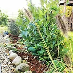 Mera Luxe Wellness B&b, Adults Only, Ibiza-bohemian Style Suites, Optional Prive Outdoor Wellness, Massage, Vuurkorf, Gratis Fles Fles Wijn-bubbels