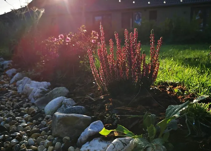 Mera Luxe Wellness B&b, Adults Only, Ibiza-bohemian Style Suites, Optional Prive Outdoor Wellness, Massage, Vuurkorf, Gratis Fles Fles Wijn-bubbels 3*