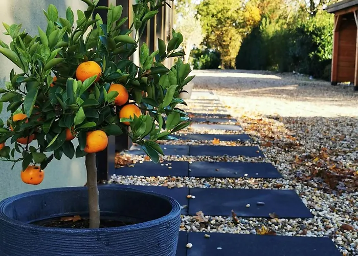 Mera Luxe Wellness B&b, Adults Only, Ibiza-bohemian Style Suites, Optional Prive Outdoor Wellness, Massage, Vuurkorf, Gratis Fles Fles Wijn-bubbels ベッド・アンド・ブレックファスト