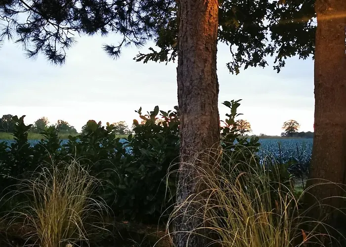 Mera Luxe Wellness B&b, Adults Only, Ibiza-bohemian Style Suites, Optional Prive Outdoor Wellness, Massage, Vuurkorf, Gratis Fles Fles Wijn-bubbels ベッド・アンド・ブレックファスト